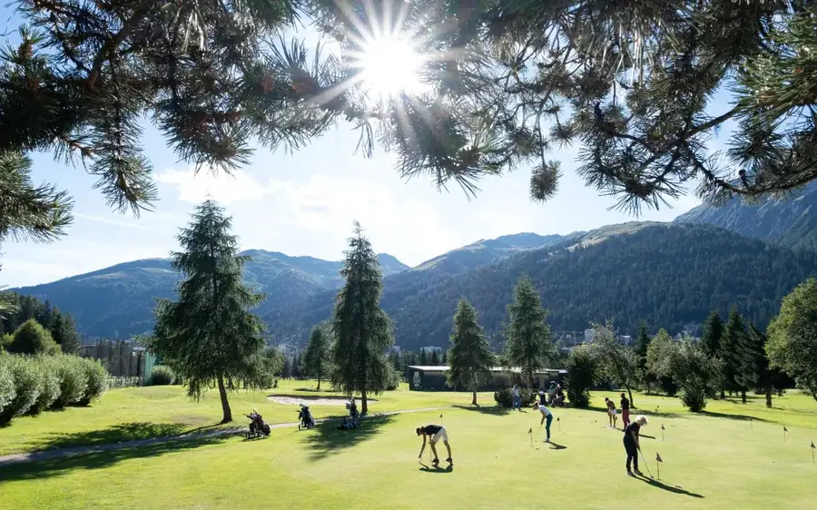 Summer at Silverbirch Chalet